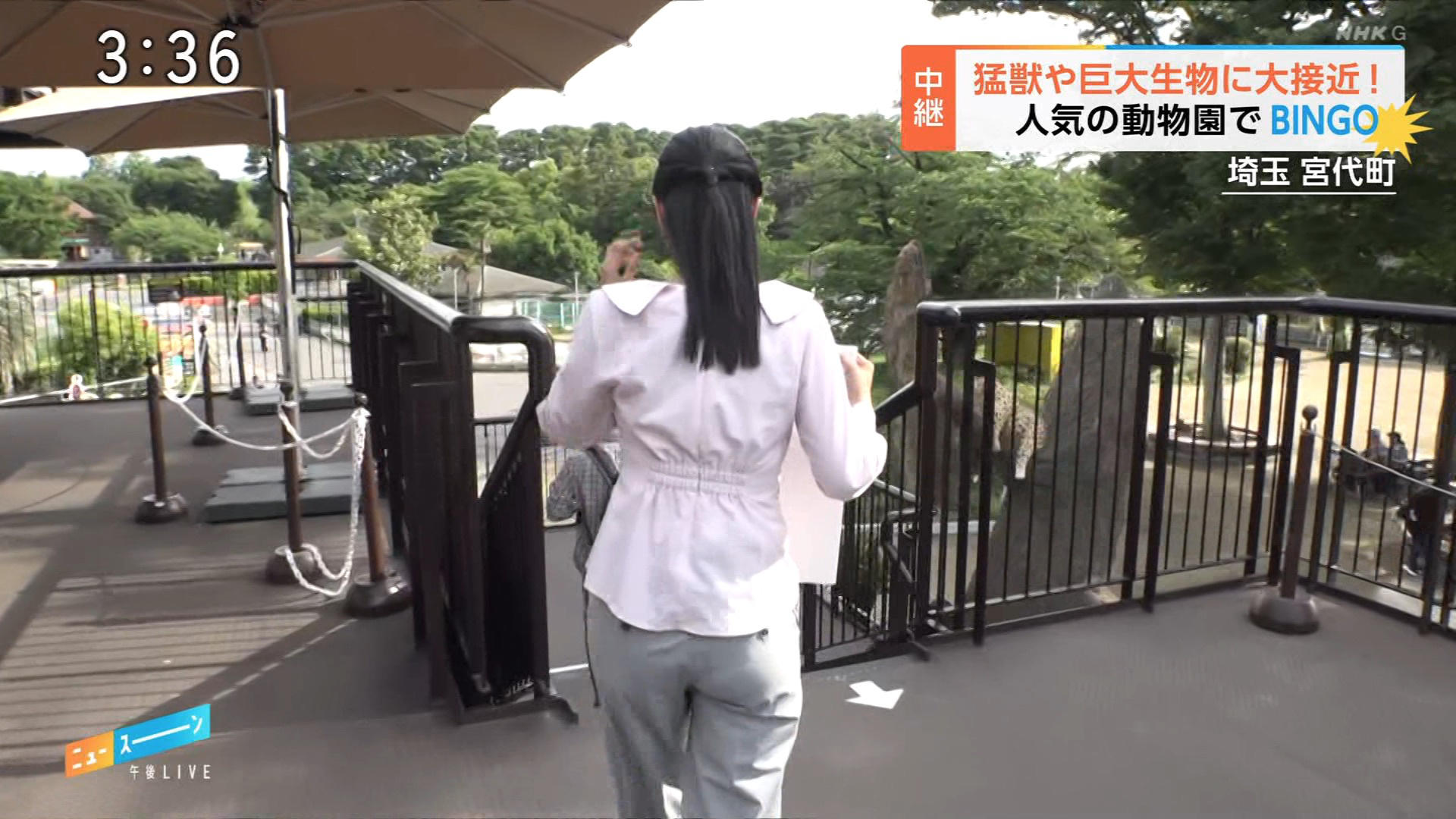 画像道上美璃アナ 中継レポートのお尻にパン線!!GIF動画あり 画像6 画像道上美璃アナ 中継レポートのお尻にパン線!!GIF動画あり 画像6