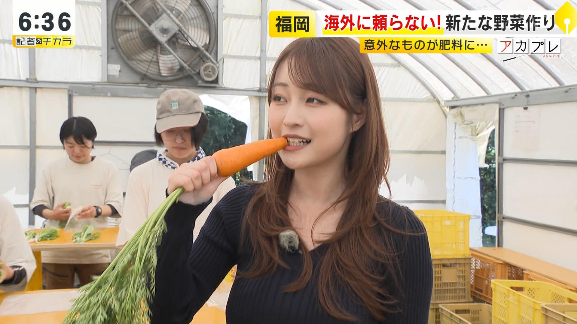 画像九州の美人アナ ピチピチニットで巨乳がくっきり!! 画像9 画像九州の美人アナ ピチピチニットで巨乳がくっきり!! 画像9
