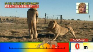 【画像】昔のタレント「死ぬかと思った仕事？これだよw」のアイキャッチ画像